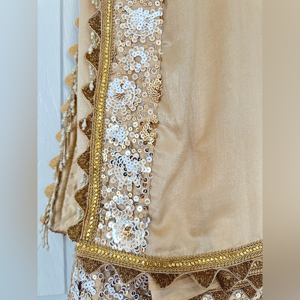 Silk saree with seqin blouse set - Picture 5 of 11